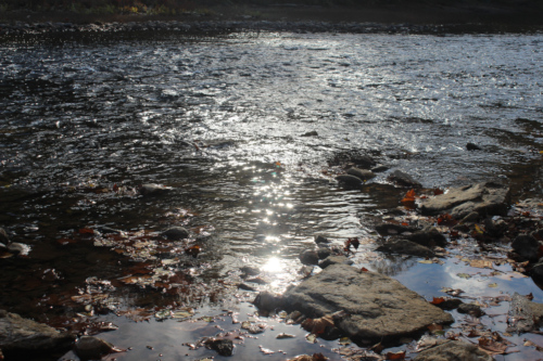 Big South Fork Cumberland River (McCreary County, KY)